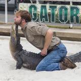 Gatorland
