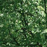 Verona Beach State Park