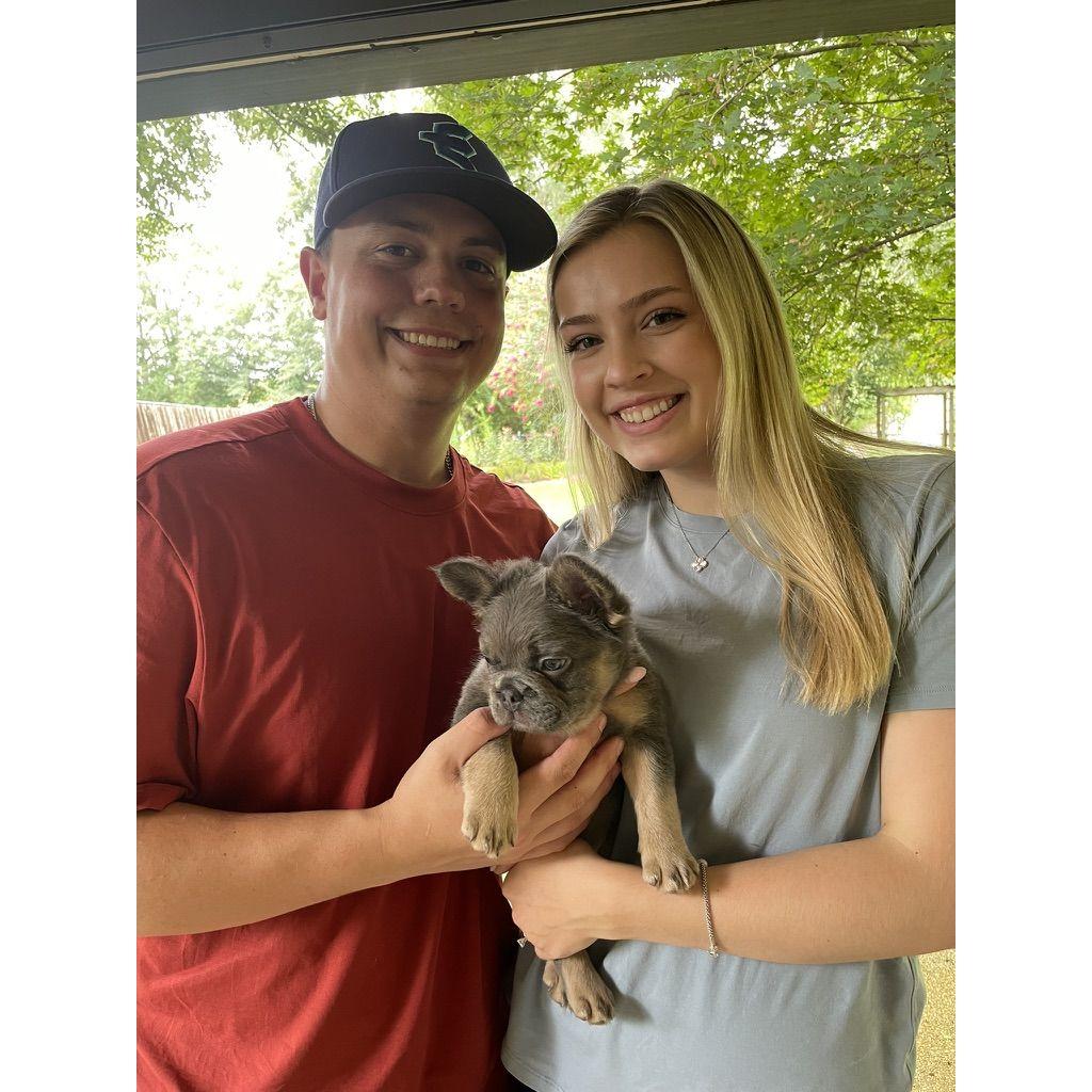 7/21/24 The day we picked up our sweet boy, Arlo.