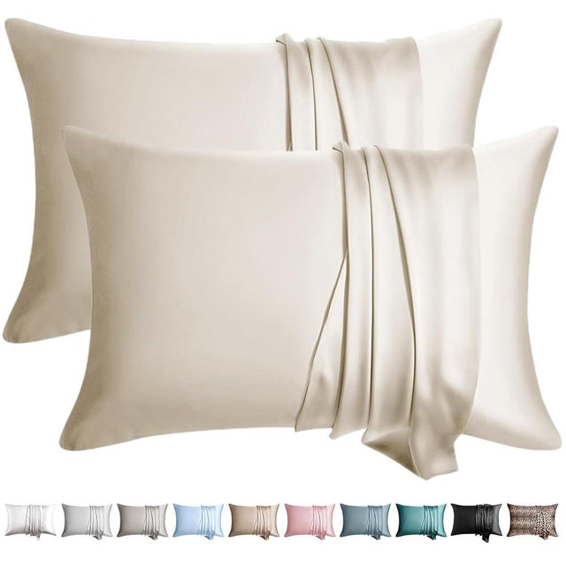WLOSJ 100% Silk Pillow Cases 2 Pack Standard Size Mulberry Silk Pillowcase for Hair and Skin Set of 2 Highest Grade 6A Silk Soft Breathable Cooling with Hidden Zipper, Beige