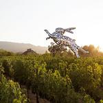 HALL Wines St. Helena