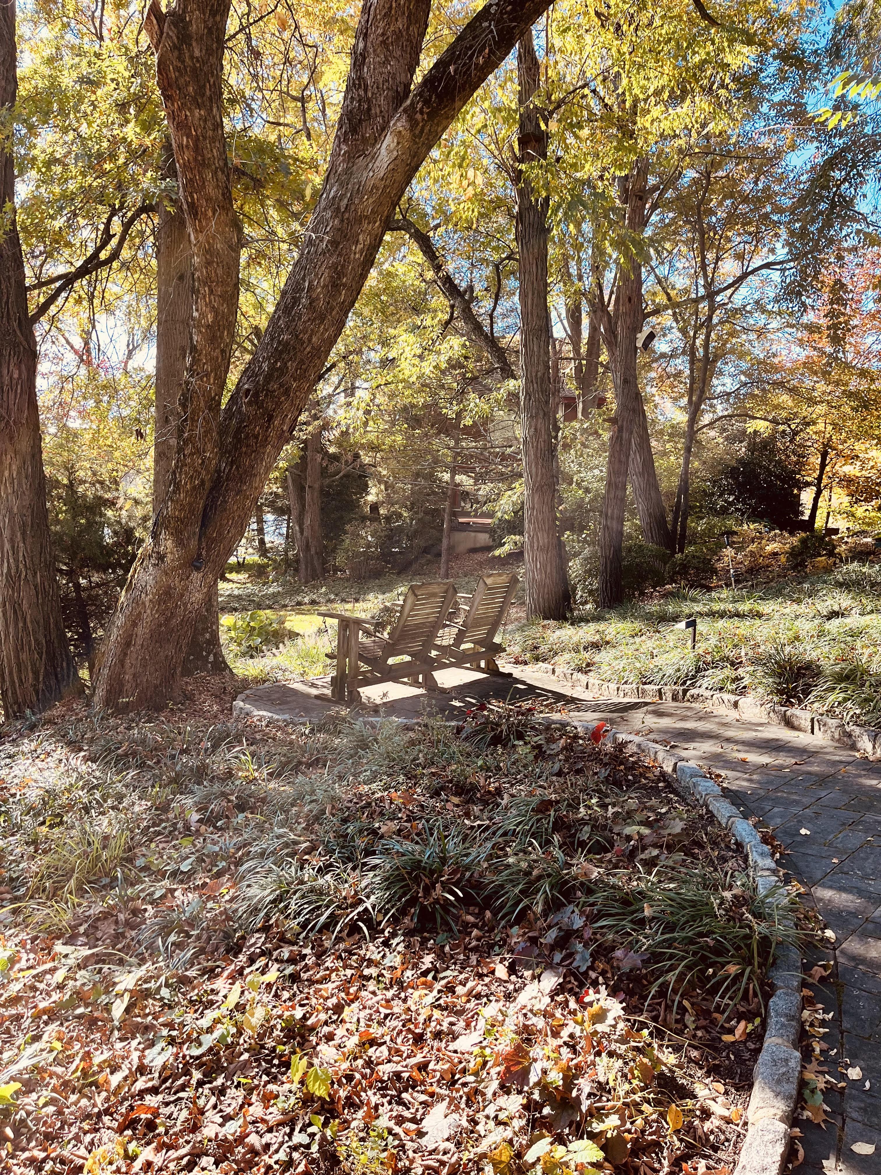 The Wedding Website of Jayme Wolff and Jay Rulon