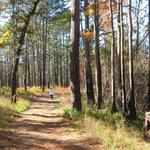 Carvers State Park