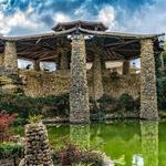 Japanese Tea Garden