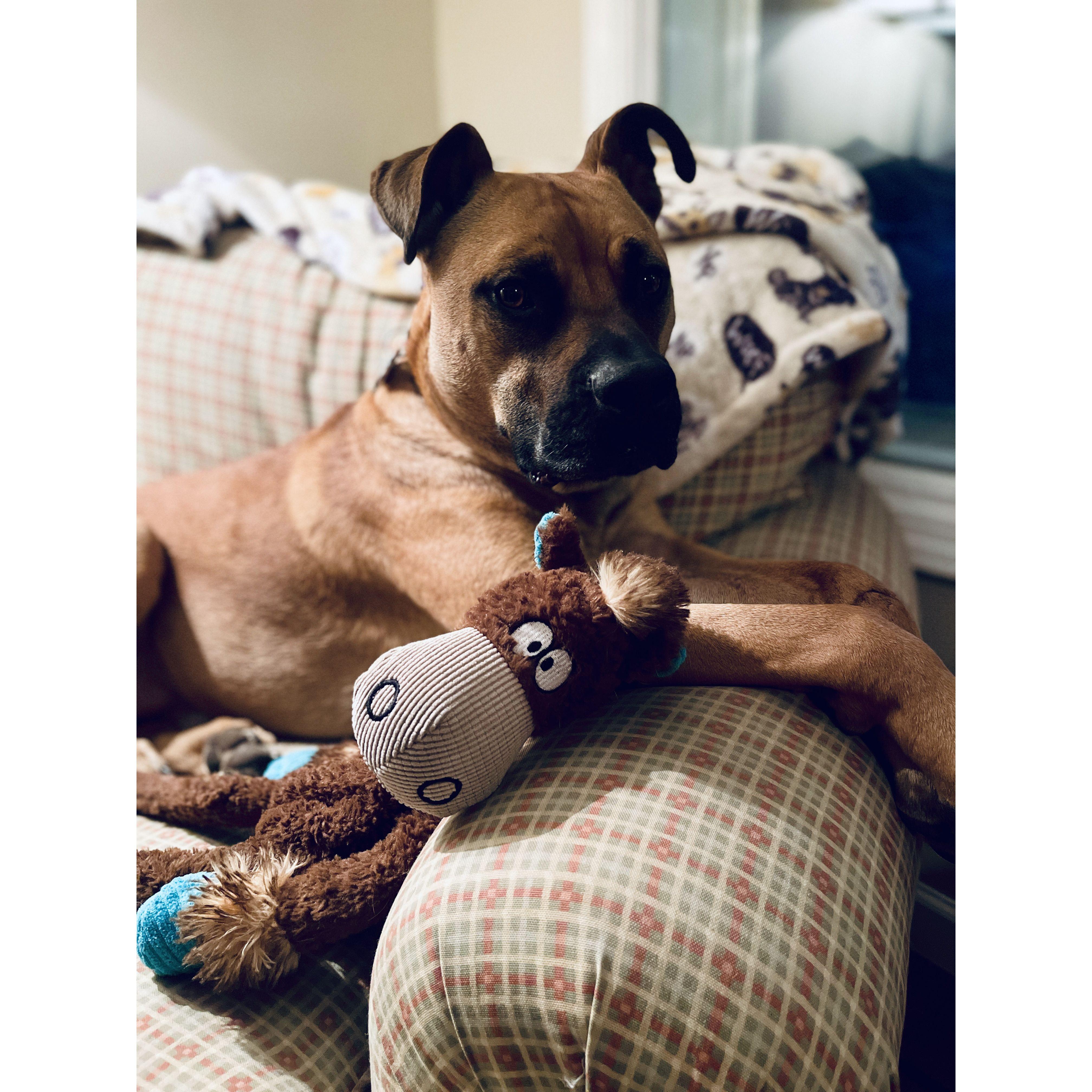 Roscoe