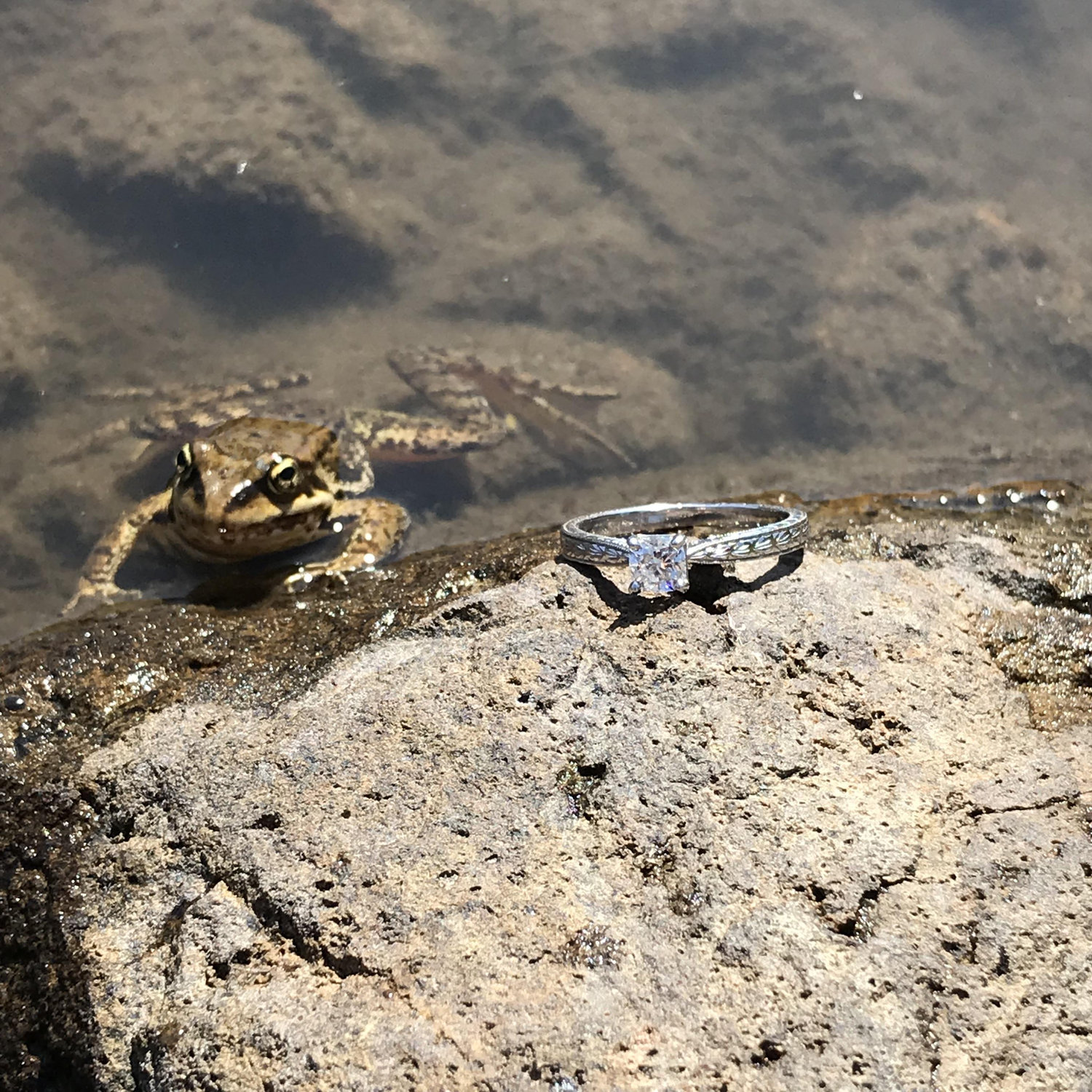 The first day at Spectacle Lake.