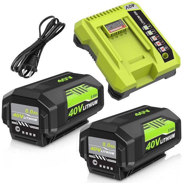 2Pack 8000mAh High Capacity Replacement for Ryobi 40 Volt Battery Lithium and OP401 Charger Compatible with Ryobi 40v Battery OP40401 OP4026 OP40261 OP4050 OP40601 OP40602 Cordless Tools (Green)