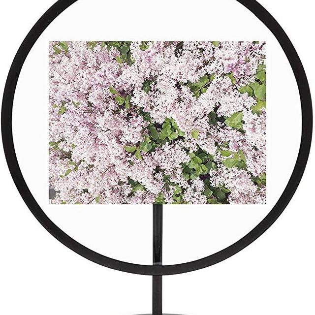Umbra Infinity Picture Frame, Black, 4X6