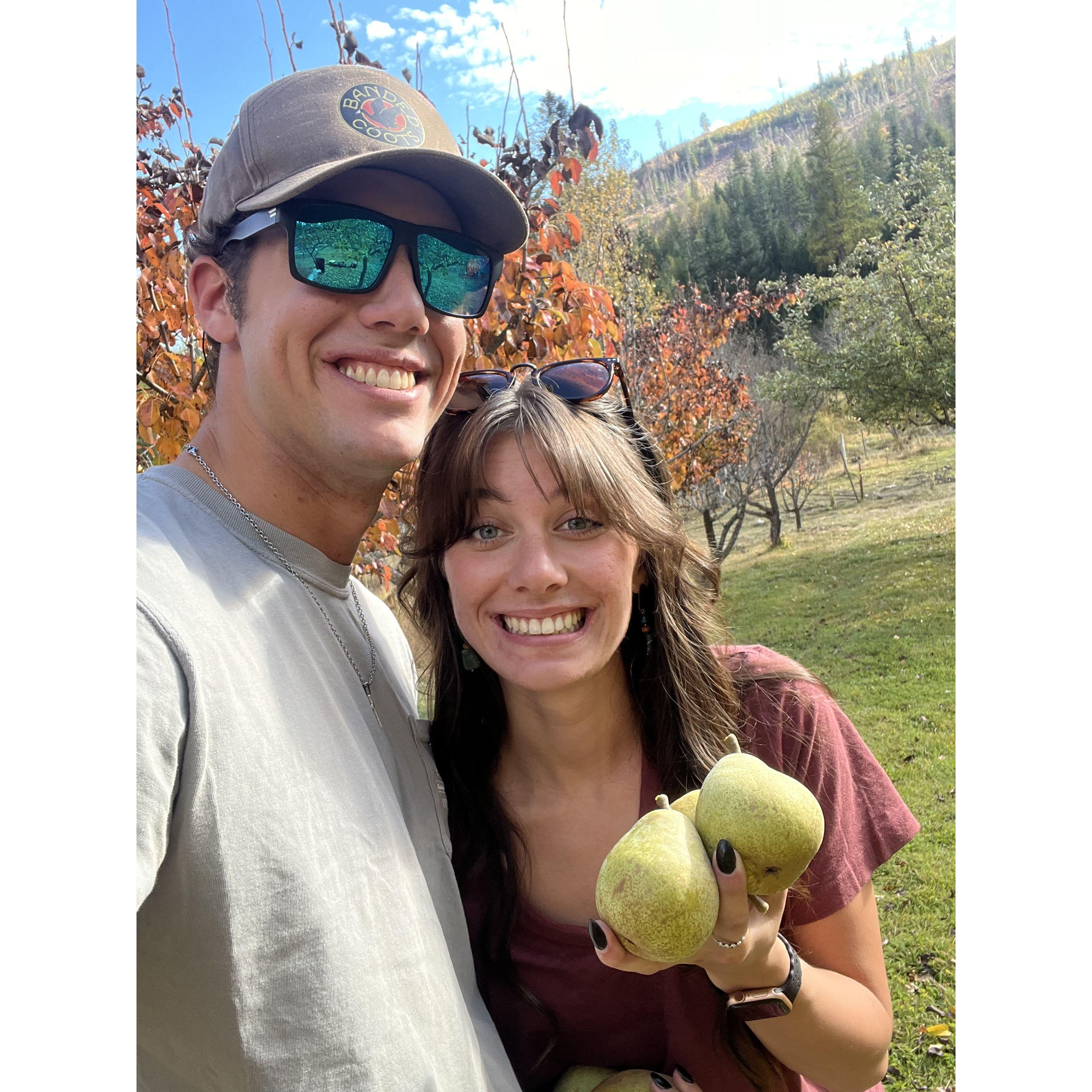 Apple picking together!