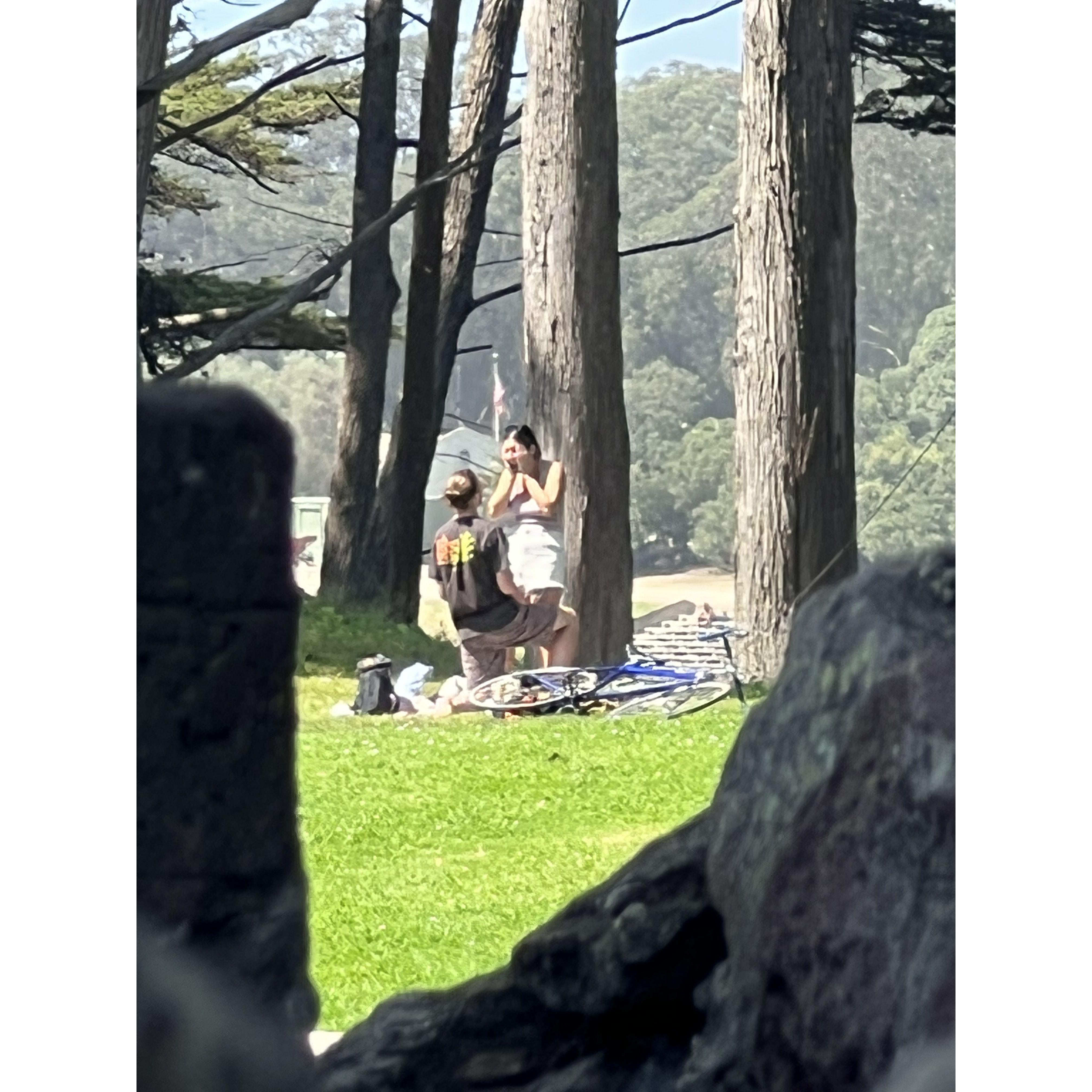 A blurry photo of Ryan proposing in Golden Gate Park, San Francisco :)