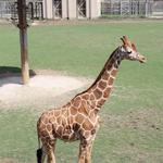 Frank Buck Zoo