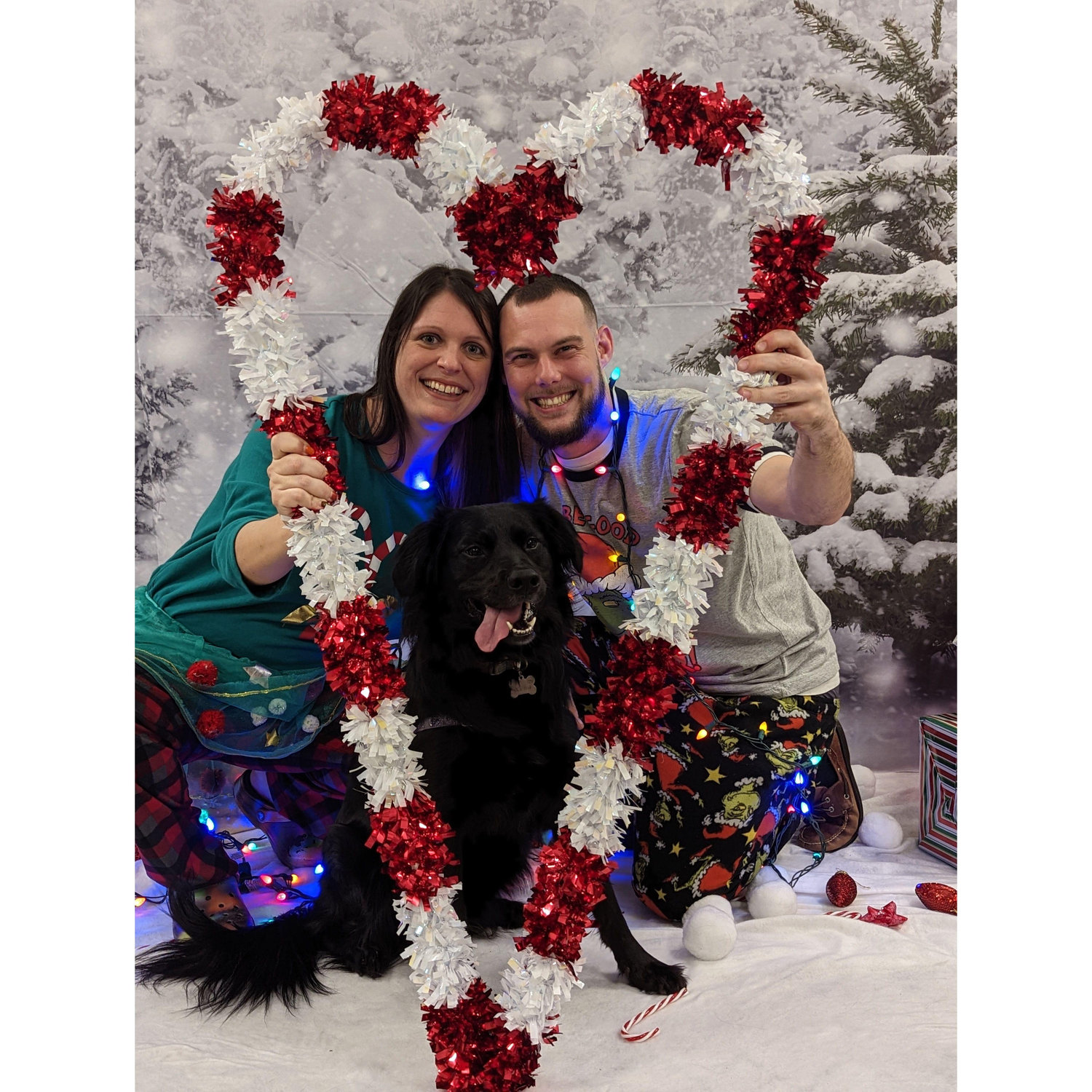 Christmas pictures with Xena 2022