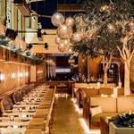 Toca Madera Scottsdale Restaurant