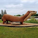Otto the Otter