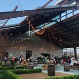 Saint Arnold Brewing Company