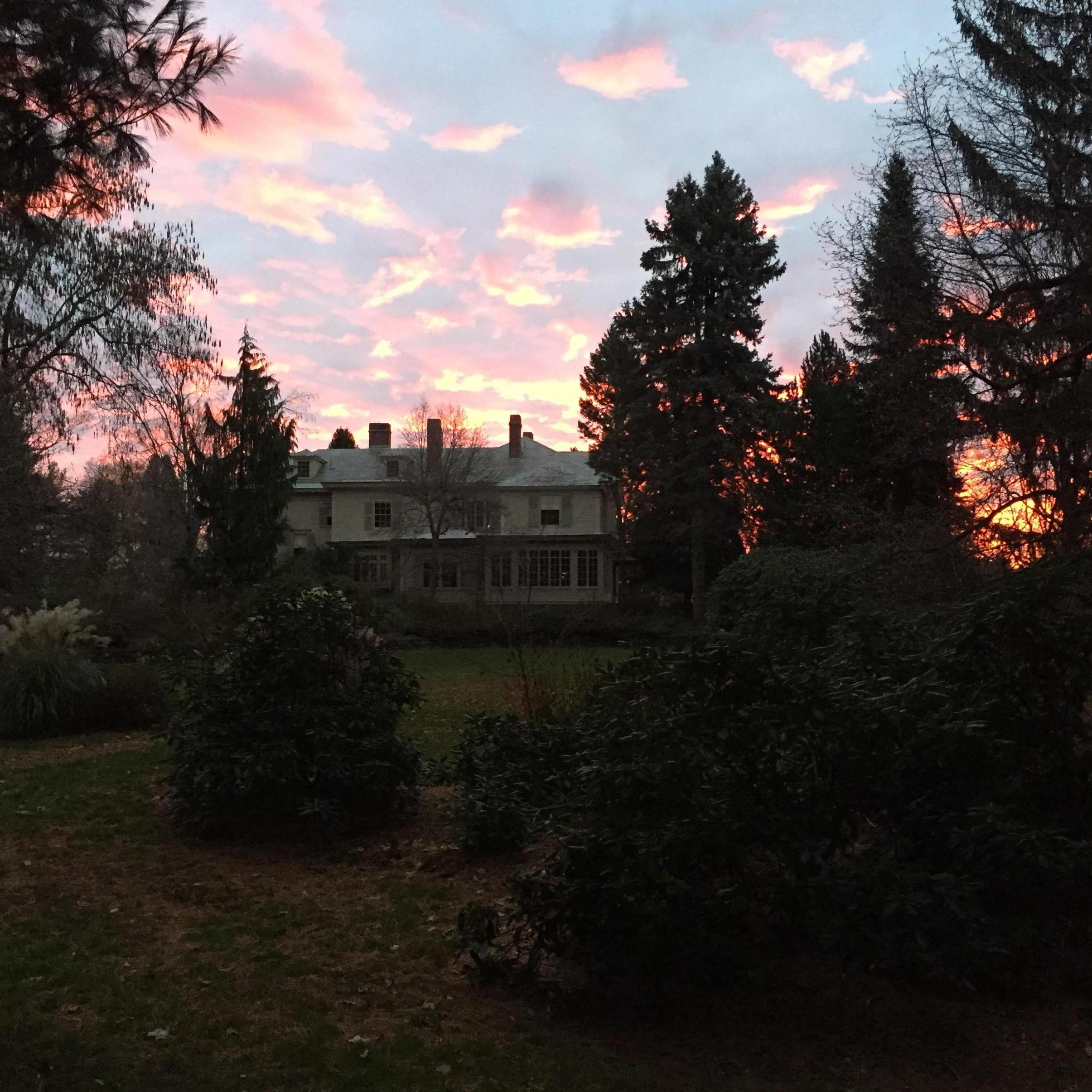 The Doyle Estate at sunrise