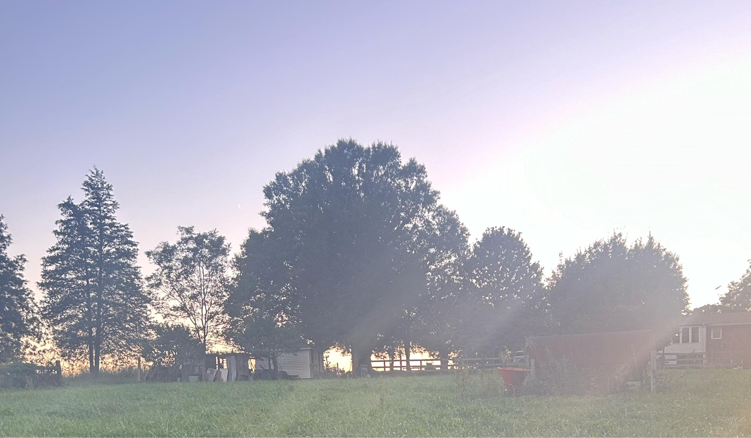 The Wedding Website of Elizabeth Weber and Zebulon Weber