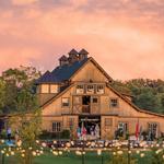 Northern Virginia Wine Region