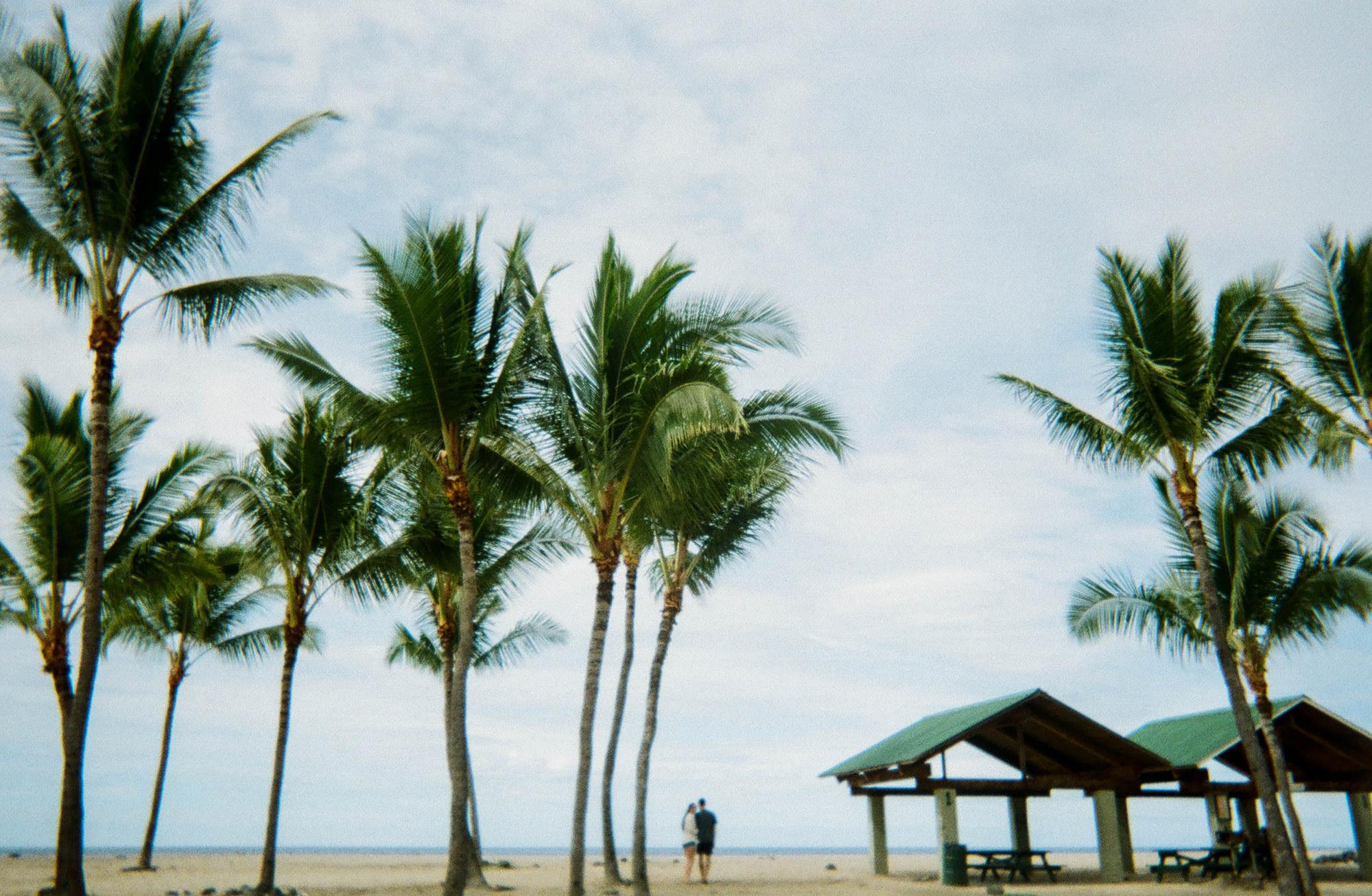 43e04877-9e99-4426-92d9-a8149dabd3e1