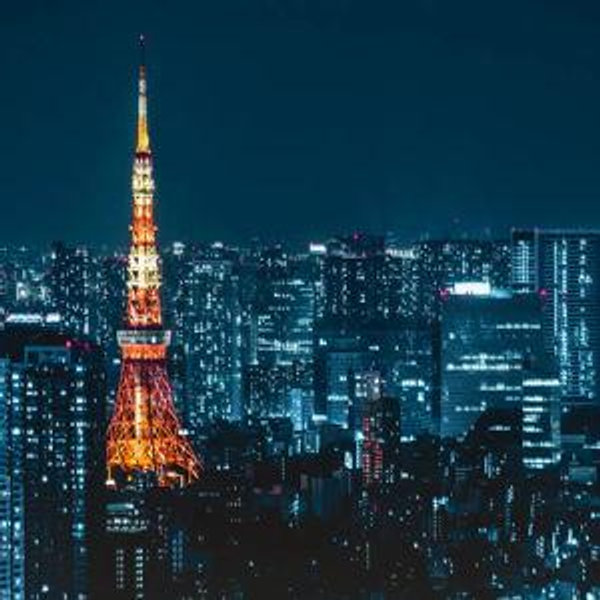 Honeymoon Fund - Night in Tokyo