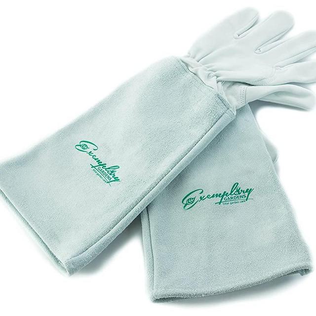 Rose Pruning Gloves for Men and Women - Thorn Proof Goatskin Leather Gardening Gloves with Gauntlet (Large)