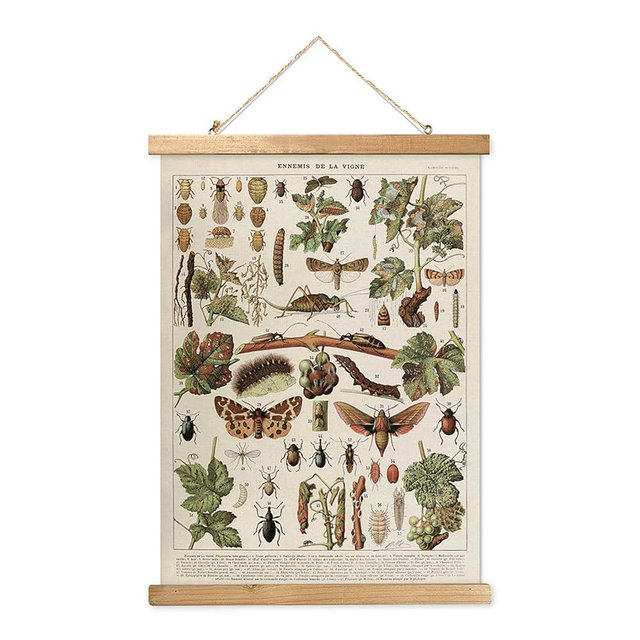 MIDEFINCH Vintage Insect Poster with Wooden Frame - Retro Wall Art Print, Ennemis de la Vigne Illustration on Linen, Easy to Hang for Living Room Office Classroom Bedroom Decor (16x23 inches)