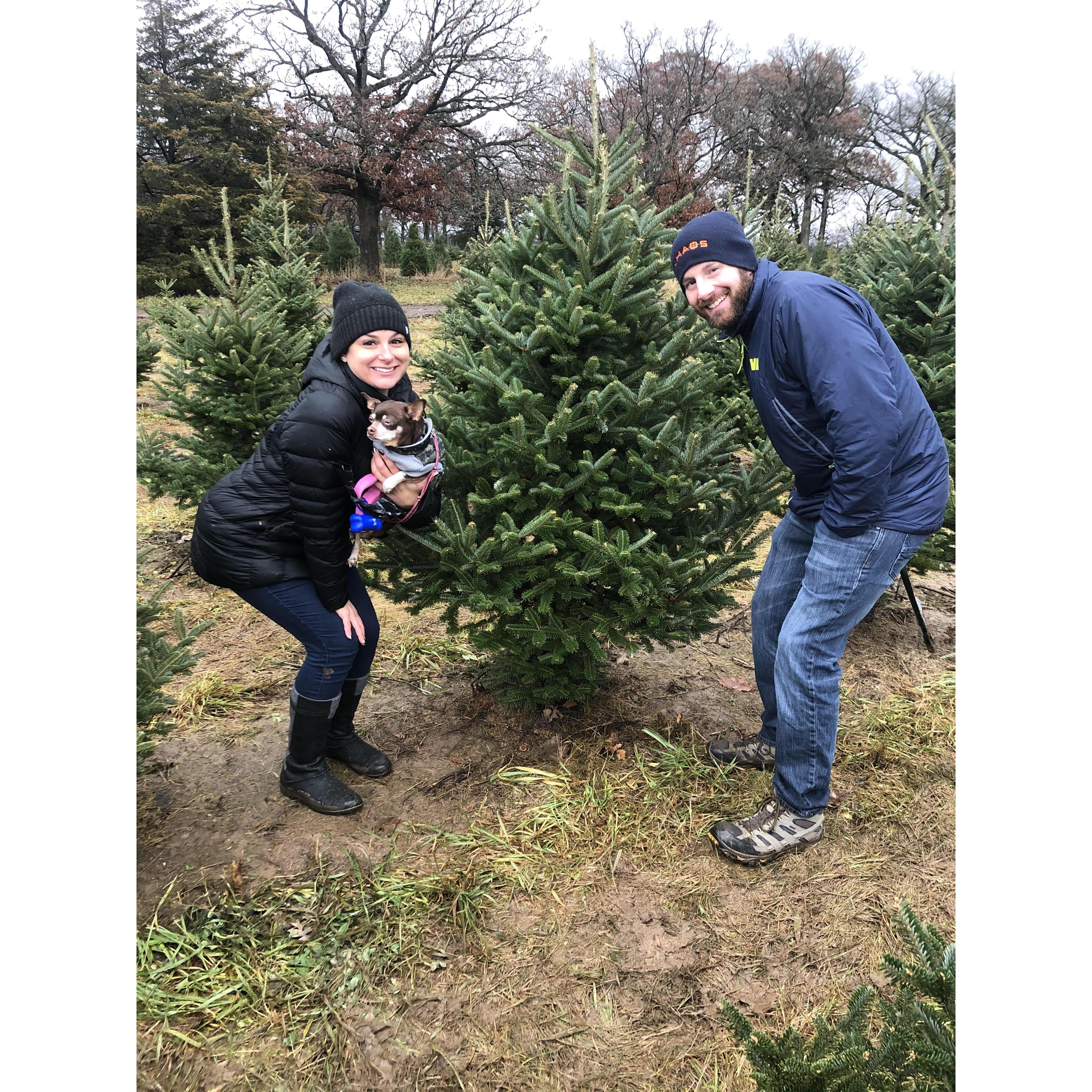 Cutting down our first Christmas Tree together