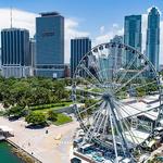 Bayfront Park & Downtown Ferris Wheel