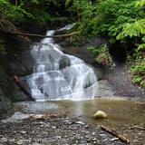 Barnes Gully