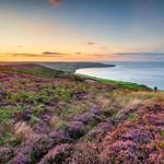 North York Moors National Park