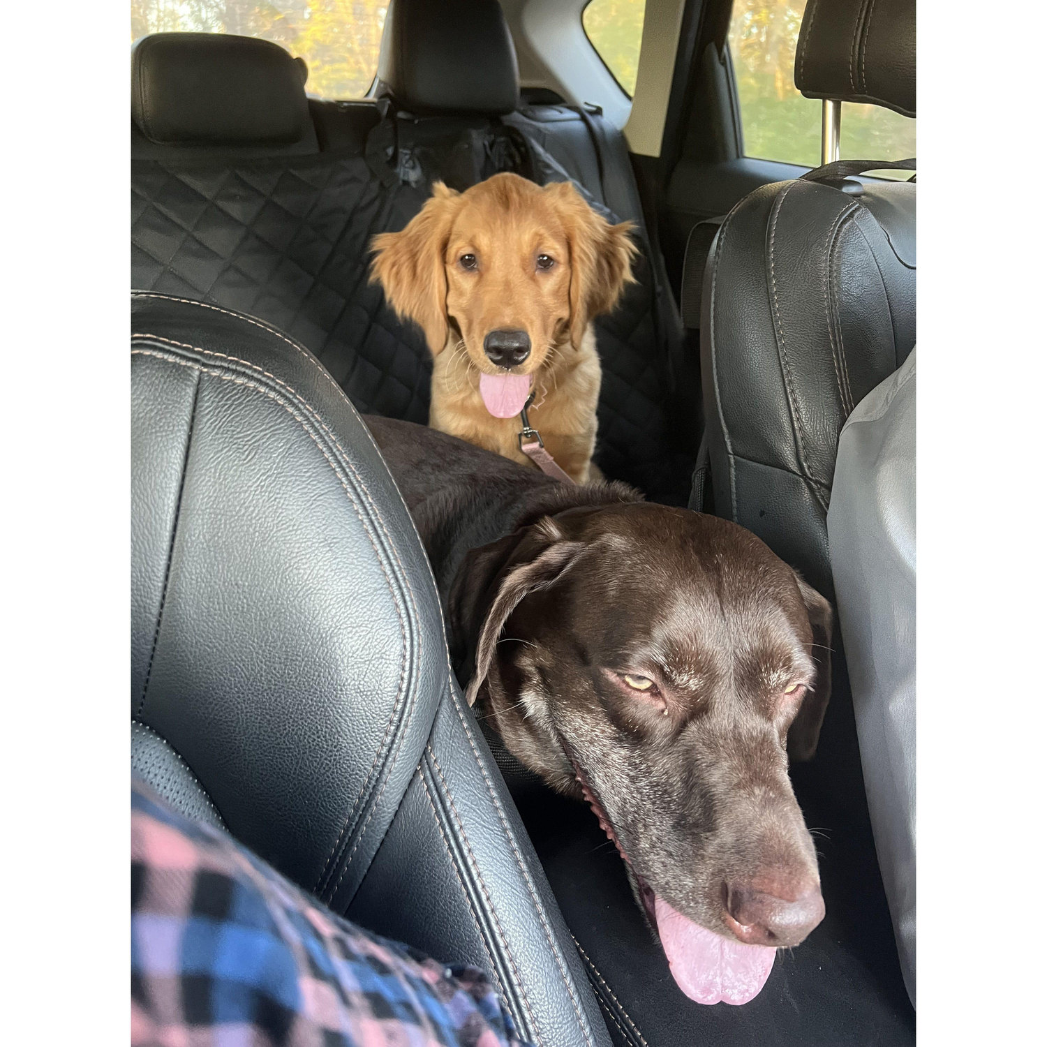 Car rides