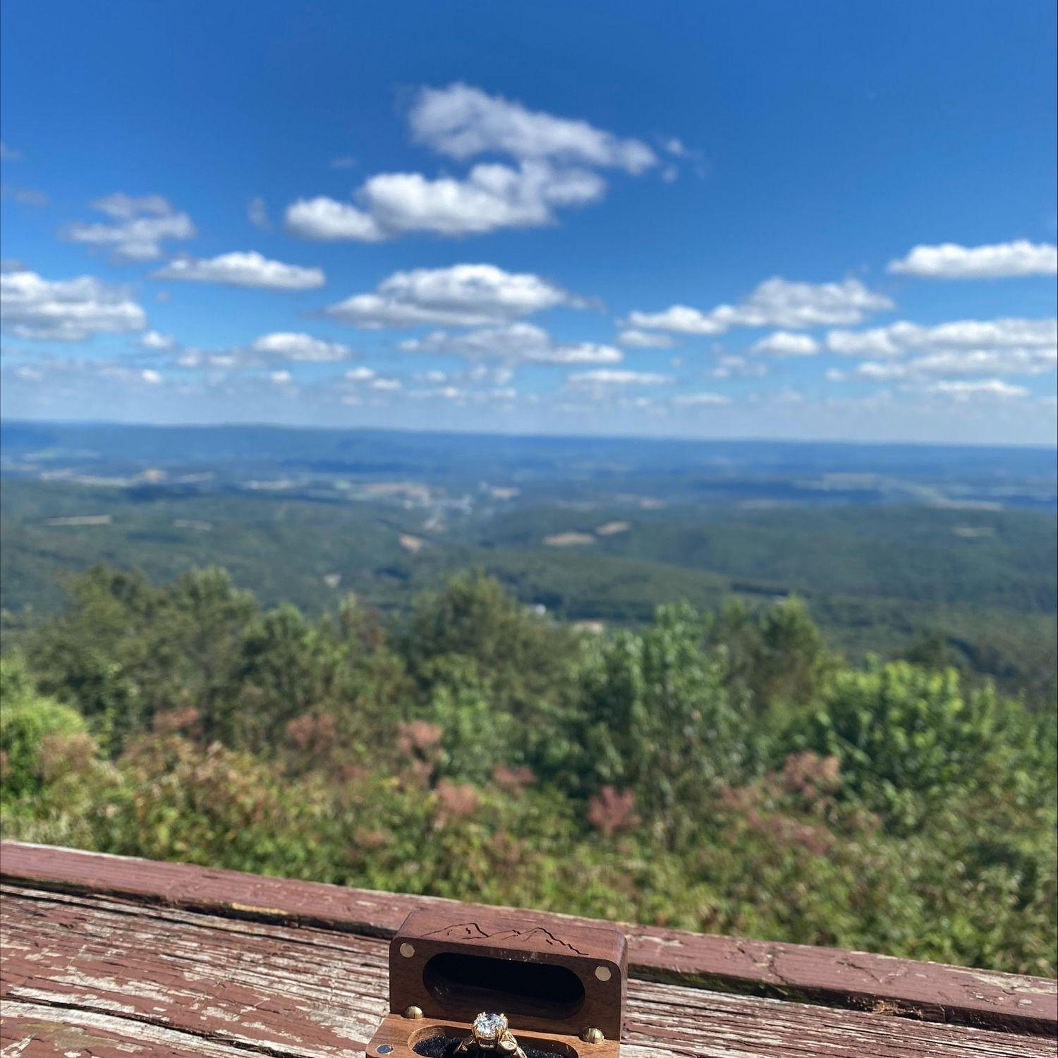 Proposal day!