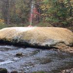 Saratoga Spa State Park