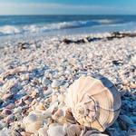Sanibel Island