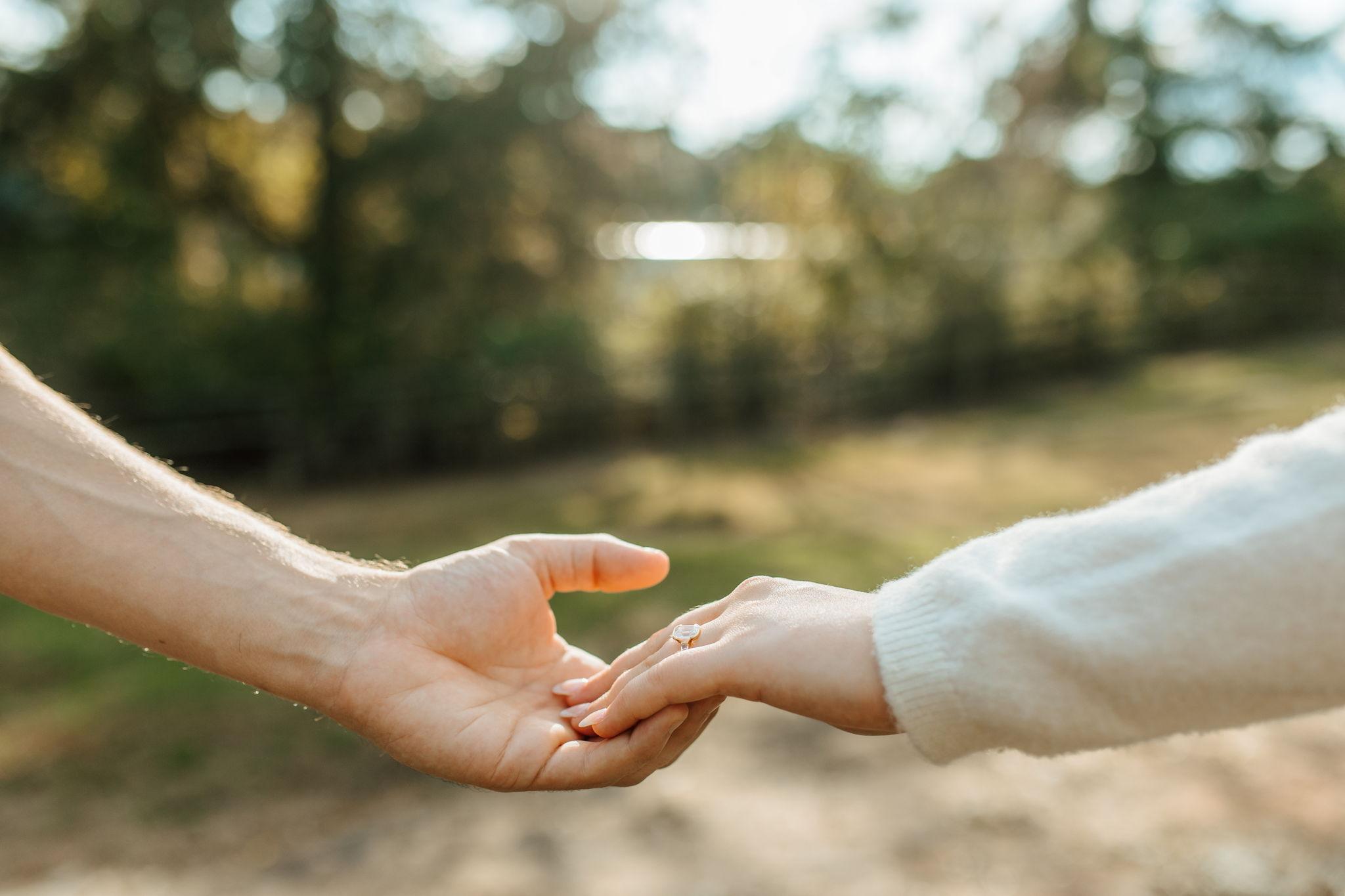 The Wedding Website of Ian Tarman and Marissa Huntley