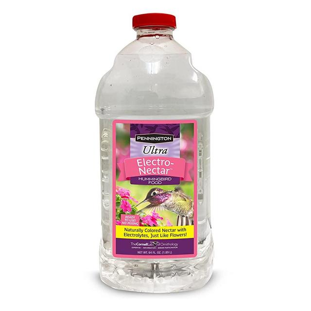 Pennington 100543828 ElectroNectar Hummingbird Food Ready to Use, Clear