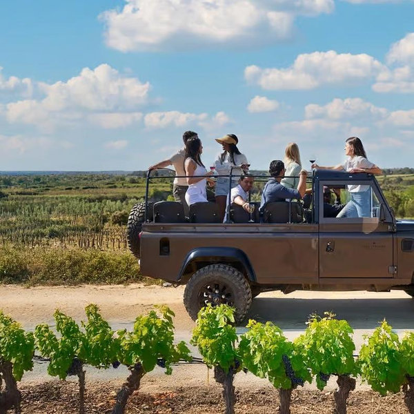 Penedés Vineyards Tour