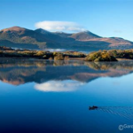 Where to see in Ireland
