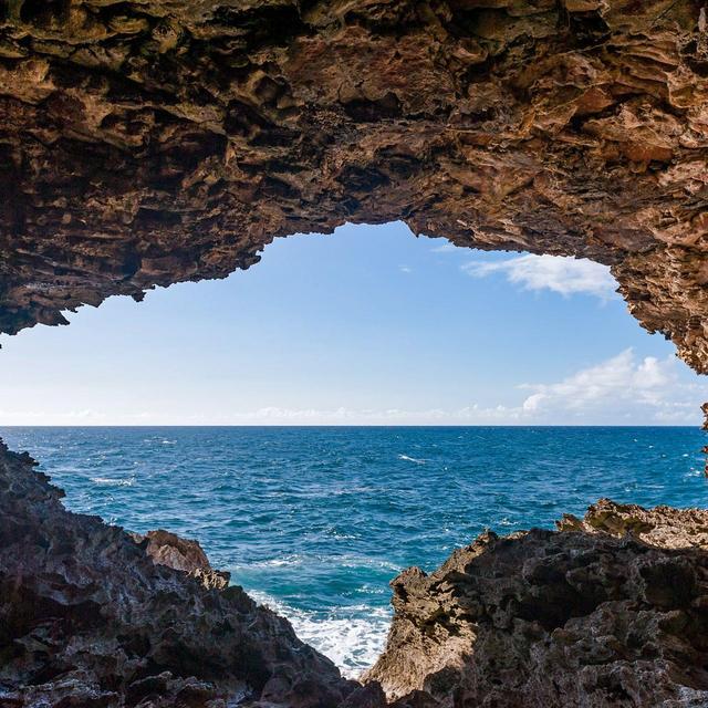 Trip to Animal Flower Cave