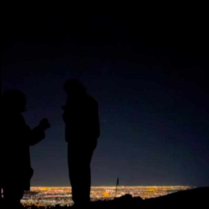 The actual proposal:)