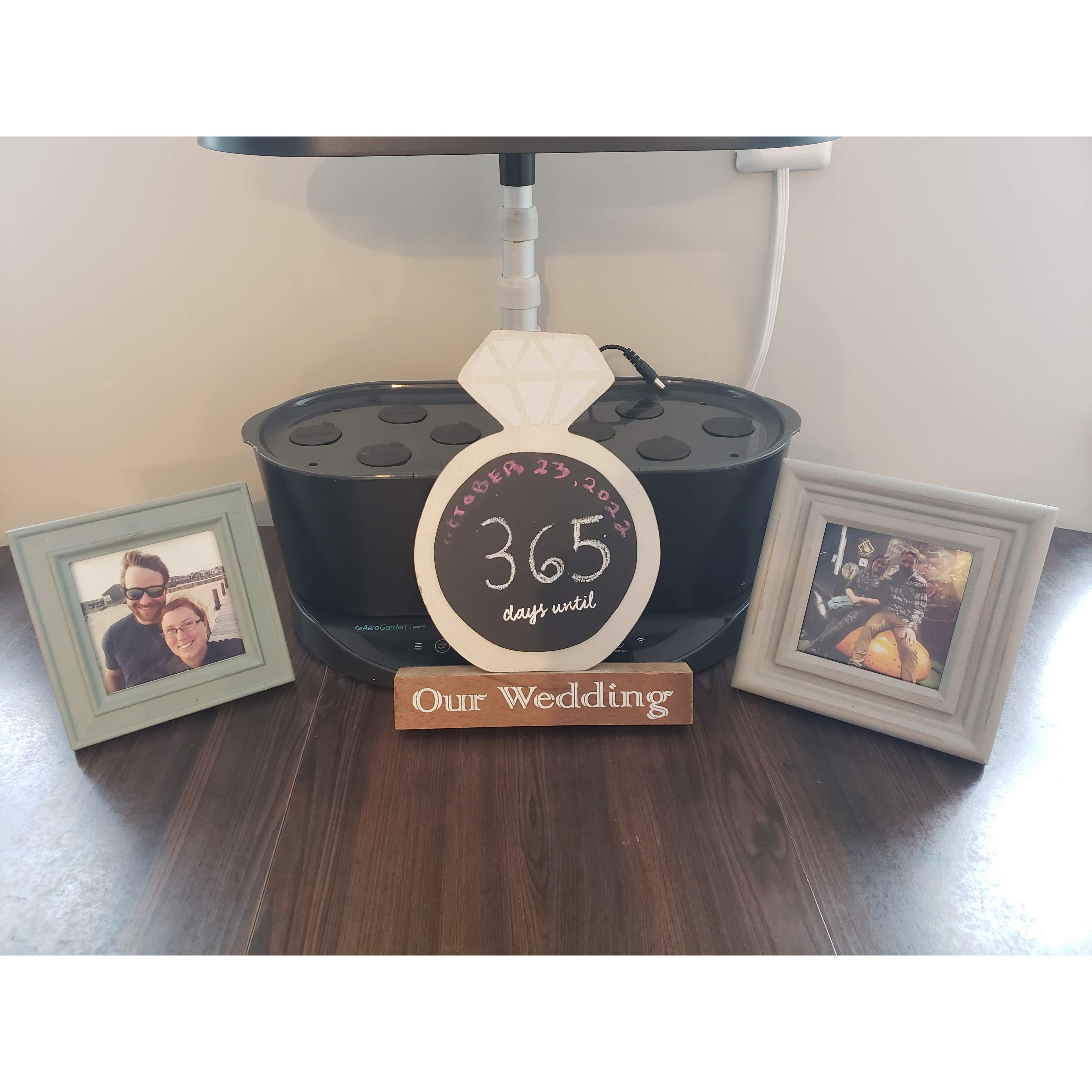 Our Reverse-a-versary!