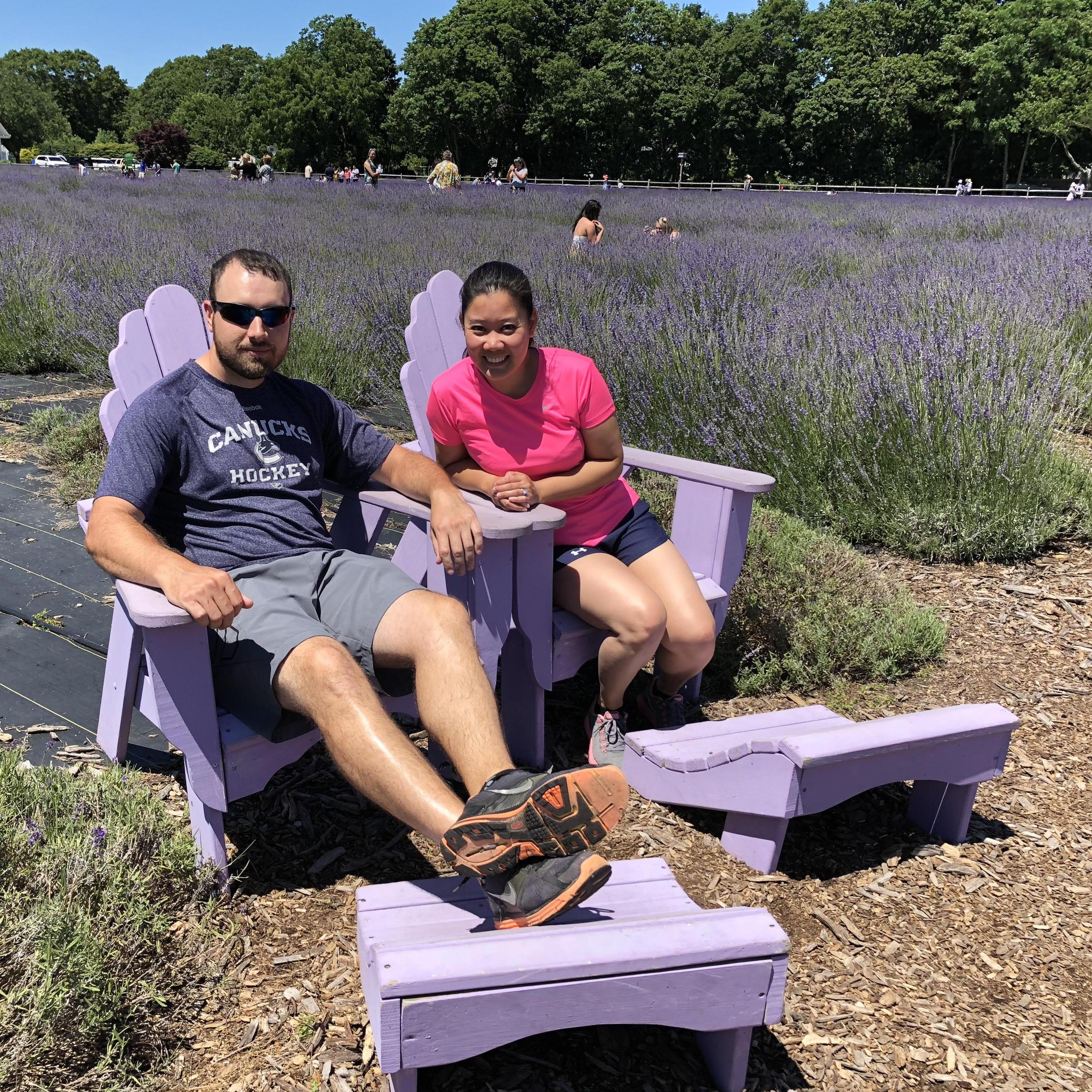 Visiting lavender fields in East Marion, NY