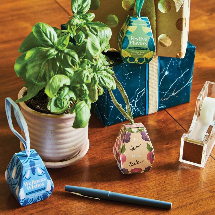 Modern Sprout, Festive Seed Salutation, Set of 12 | Zola