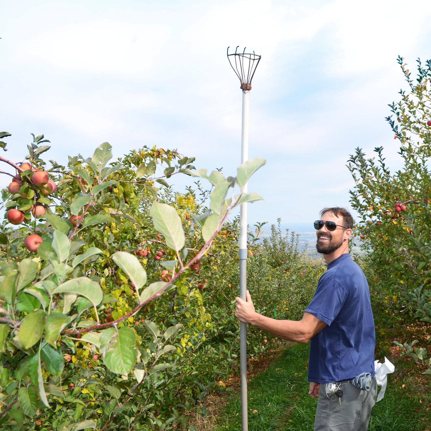 Apple picking at the beautiful Carter Mountain.