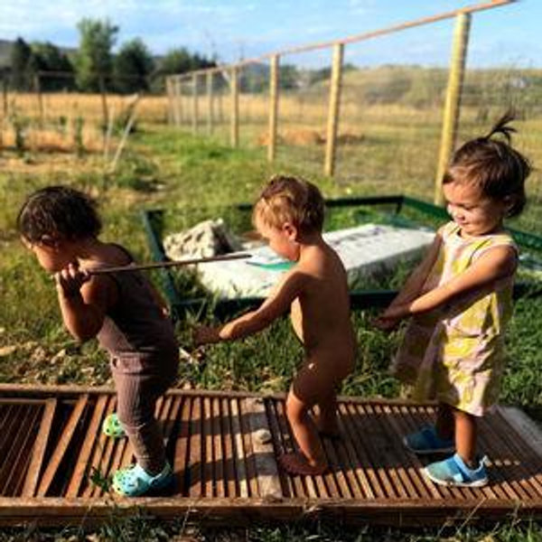 Goat Shelter & Homeschool Zone
