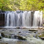 Ricketts Glen State Park