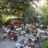 Bacchanal Wine