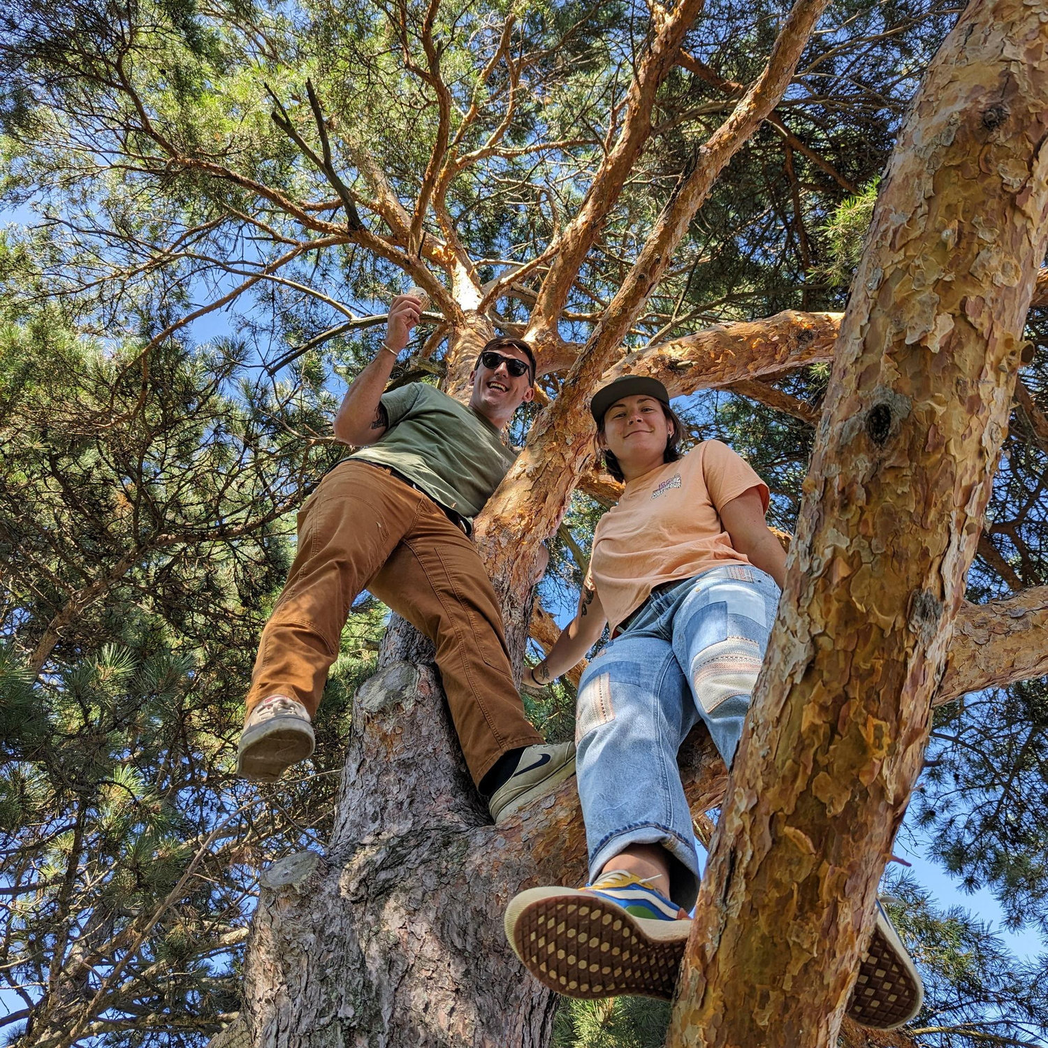Climbing tress in Canada!
