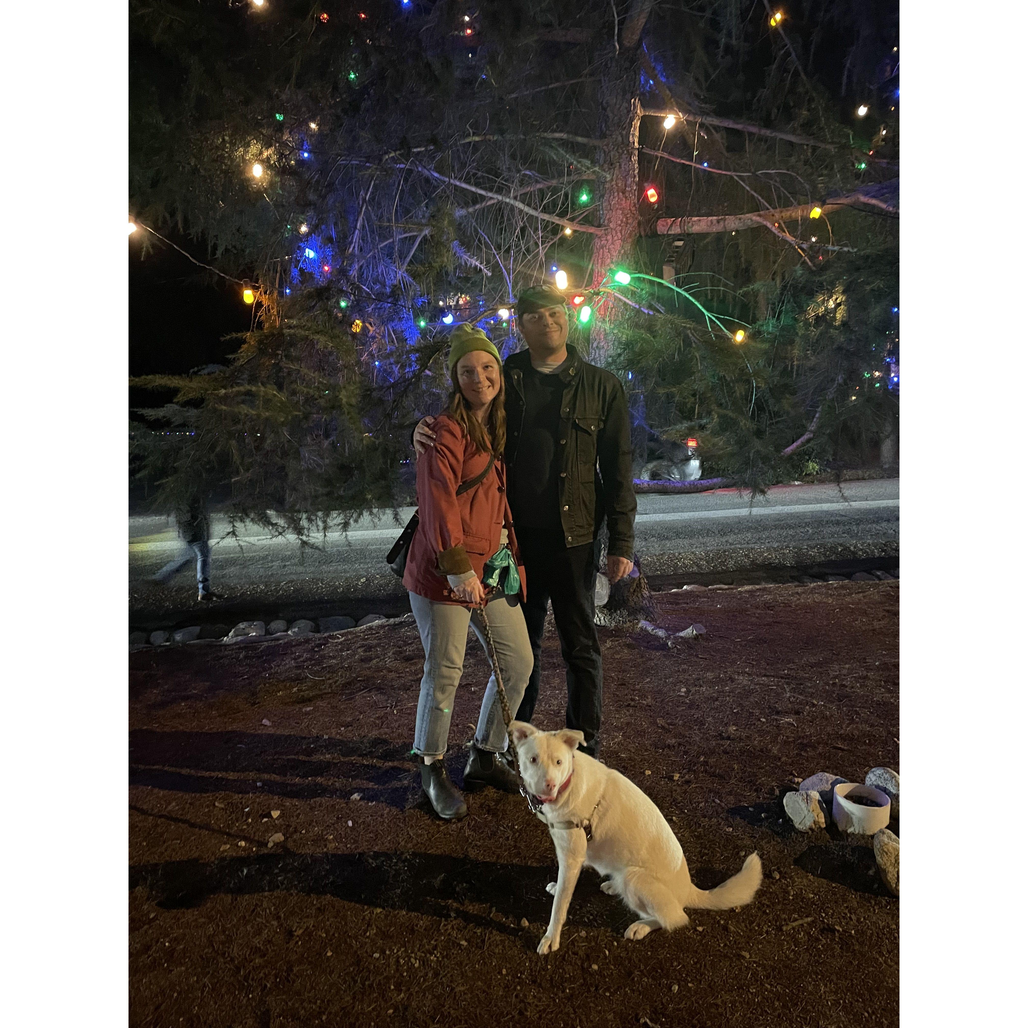 Christmas Tree Lane, Altadena, CA. December 2023.