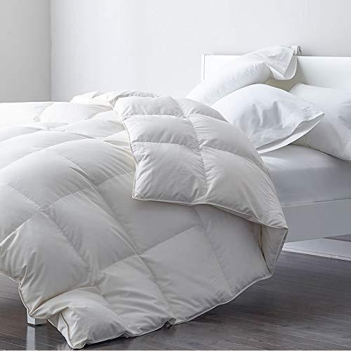 Premium Goose Feather Down Comforter Duvet Insert - 100% Skin-Friendly Cotton, Medium Weight Quilted for All Season Bedding (Full/Queen, Ivory White)